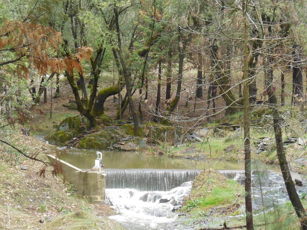 Yosemite Paradise 3* Coulterville