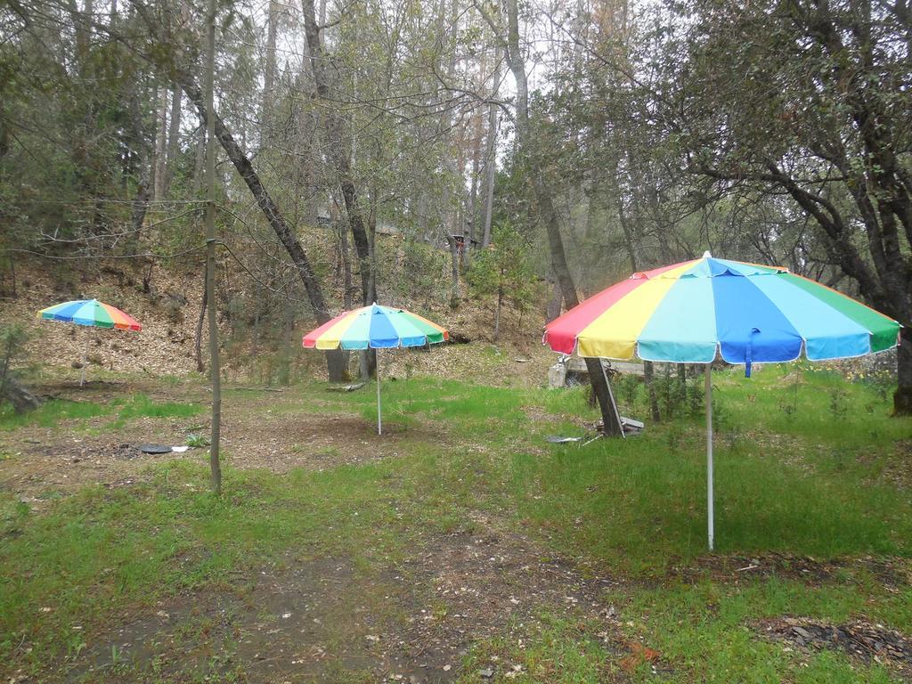 Yosemite Paradise Bed & Breakfast 3*