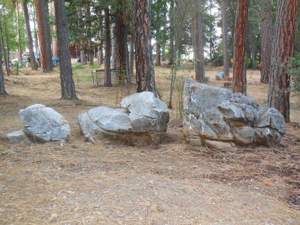 Yosemite Paradise Coulterville